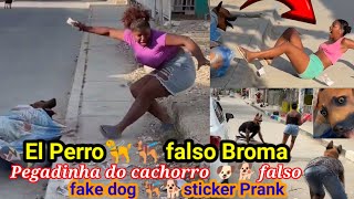 El Perro invisble broma \/ Pegadinha do cachorro invisvel \/ Fake dog prank