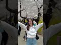 ЁЯШНЁЯЗ ЁЯЗ KOREA IS CALLING YOU IN 2025 ЁЯдй Seoul Southkorea Spring2025 Dreams Bts Kdramas ЁЯШНЁЯЗ ЁЯЗ KOREA IS CALLING YOU IN 2025 ЁЯдй Seoul Southkorea Spring2025 Dreams Bts Kdramas