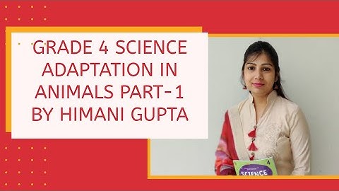 Grade 4| L- 3| Adaptation in Animals| Part 1| Explained by Ms Himani Gupta