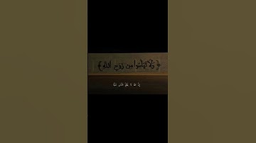 قرآن كريم بصوت عبدالرحمن مسعد