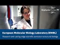 European molecular biology laboratory embl