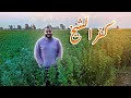 كفر الشيخ  فلوج اجواء الريف المصريه الجميله في رمضان