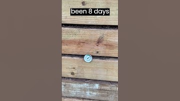 Compost Bin Day 53 138° F