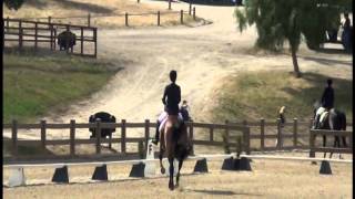 20140516 Woodside Spring Akiko Chopin