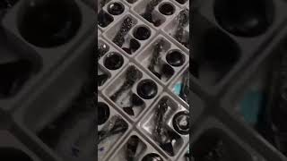 aa8708e81f1962fcfd1c7cdb924669cb #automobile