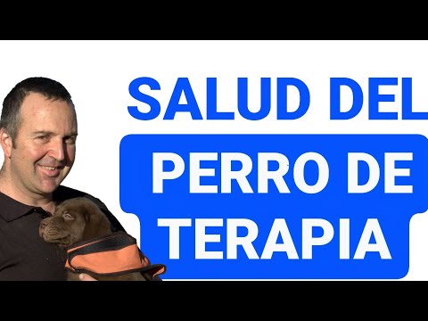 ⚠️La importancia de la SALUD en el perro de terapia