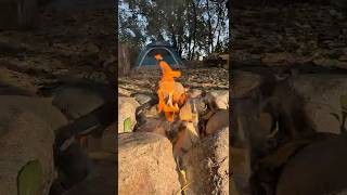 Download Lagu How to BUILD A CAMPFIRE 🔥🪵 MP3