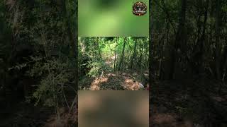 Army Dream: Airborne, Air Assault, Ranger School &amp; ROTC Goals! #shorts