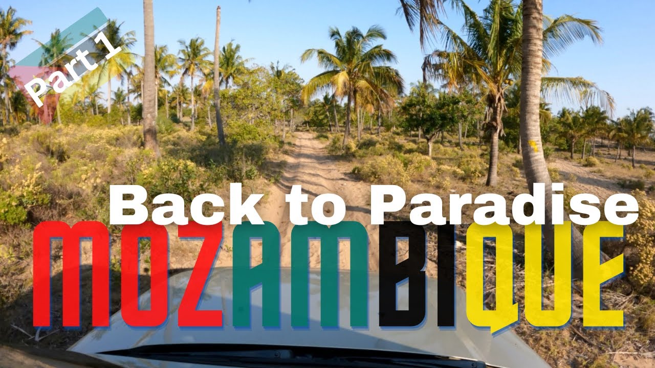 Mozambique back to paradise part 1: Getting lost in paradise the whales diving and exploring.