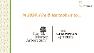 Fire & Ice 2025 Teaser