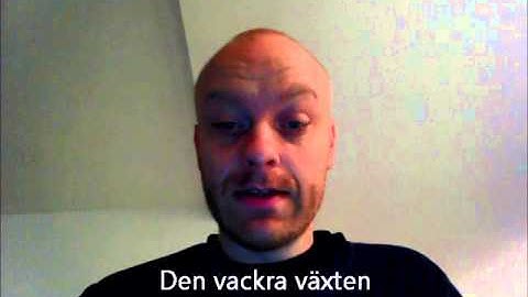 Miracles of Human Language An Introduction to Linguistics   Swedish