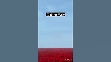 أسمع صوت الجميل 🎧 #ياسر_الدوسري #تلاوة_خاشعة #quran #القرآن_الكريم