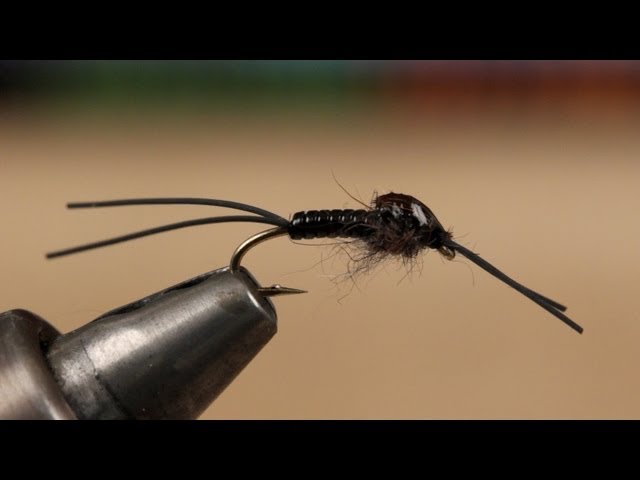 Little Black Stonefly Nymph 