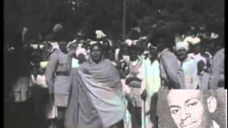 محمد وردي .. أكتوبر الأخضر