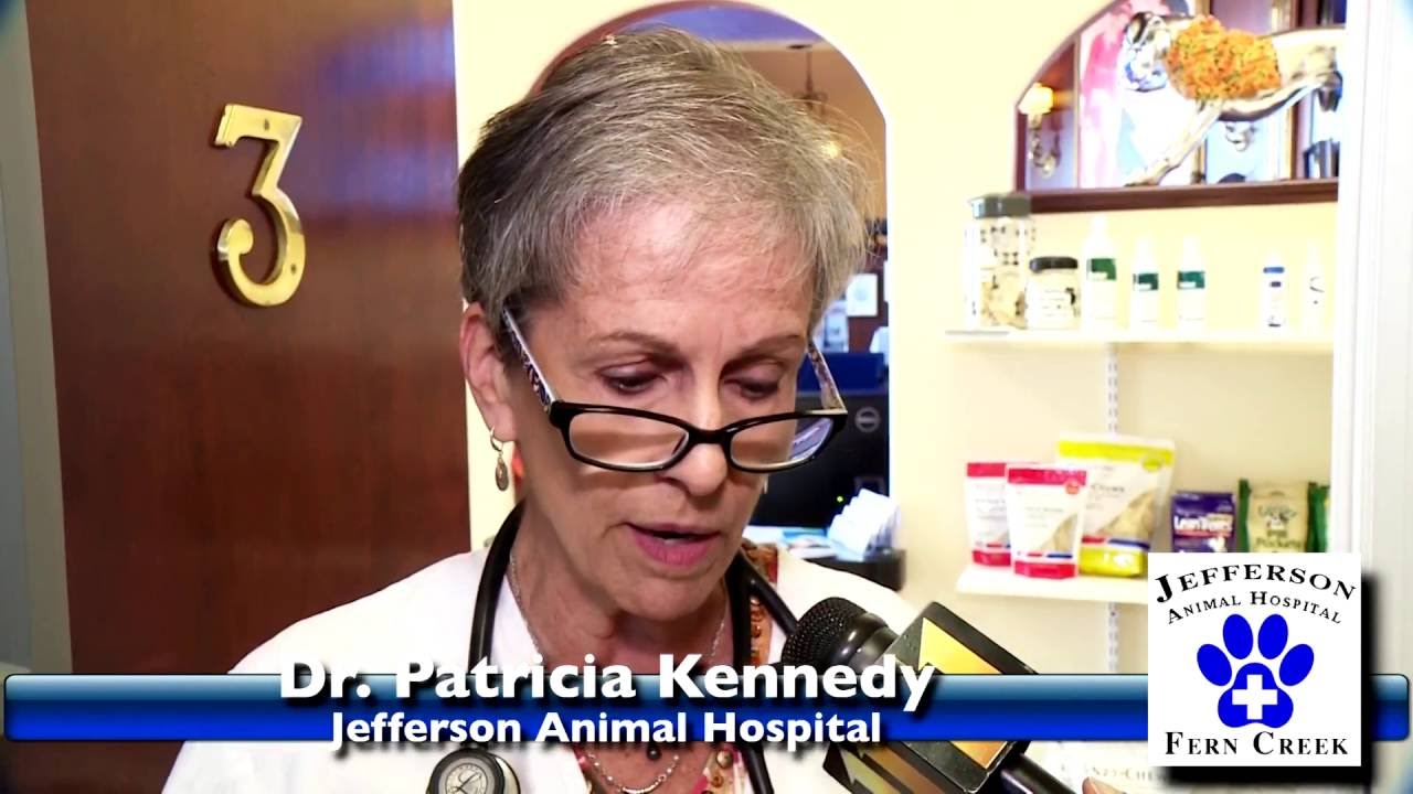 Annual Medi-Pet - Fern Creek - Jefferson Animal Hospital