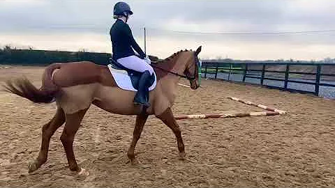 Sarah O'Flaherty & Laureldean Chief - Intro Test