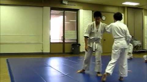 Simon Tran Aikido 7th Kyu Exam
