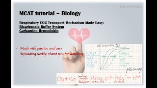 MCAT - Respiratory|The Bicarbonate Buffer System|Co2Hb|CO2 Pathway from Tissues to Lungs|Blood pH