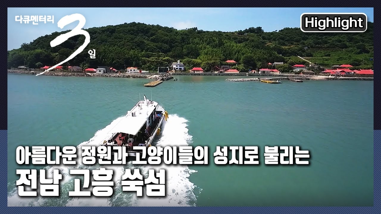 [다큐3일★하이라이트] 나로도항에서 배로 3분. 다 둘러보는데 2시간이 걸리지 않는 섬 속의 작은 섬 “400년만의 쑥스러운 안녕-고흥 쑥섬 72시간” (KBS 210815 방송)