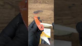 Forging Knife from Old File #shorts  #blacksmith #asmr