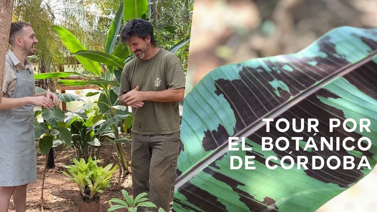 Tour por el Jardín Botánico de Córdoba🌸 ¡Tienen un Invernadero Increíble!