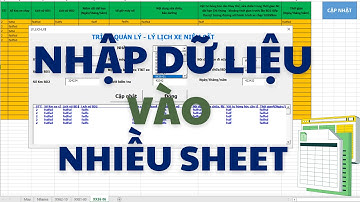 Code VBA nhập dữ liệu từ Form vào nhiều Sheet trong Excel
