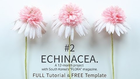 [FREE PDF TEMPLATE & FULL TUTORIAL] #2.Echinacea 에키나시아 Crepe Paper Flowers