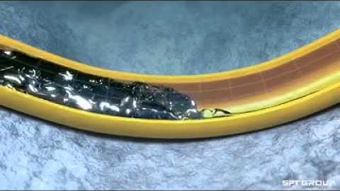 OLGA of SPT Group video