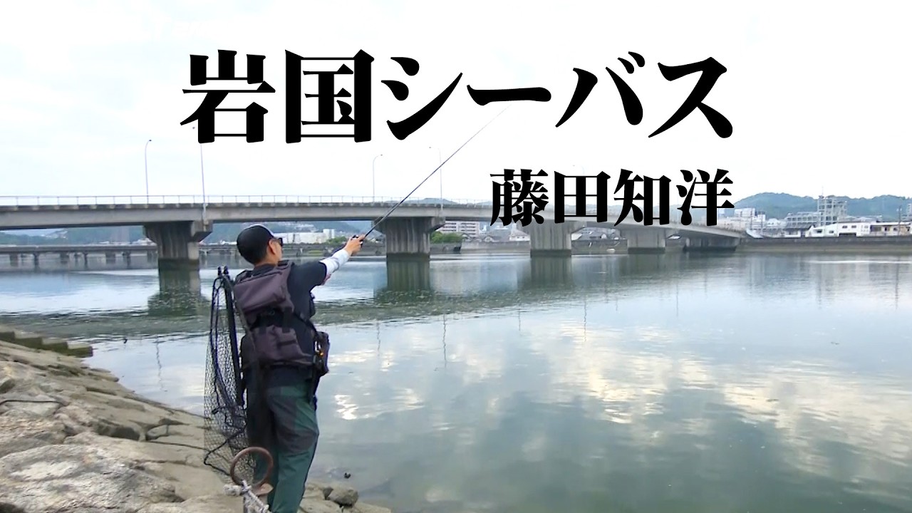 山口県岩国で河川・河口・港・サーフなど様々なシチュエーションからシーバスを狙う 『Dz SALT 2ND 53』【釣りビジョン】