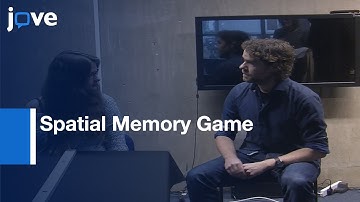 Testing Relationship Between Spatial Language, Object Knowledge & Cognition l Protocol Preview