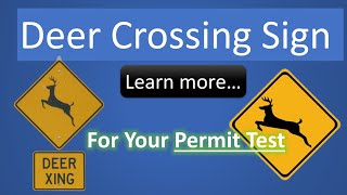 Deer Crossing Sign: Learn more for Permit Test