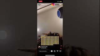 Jackboy Live Instagram talks about renegade freestyle