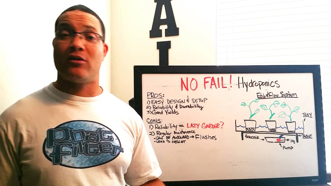 Ebb and Flow Hydroponic System Basics