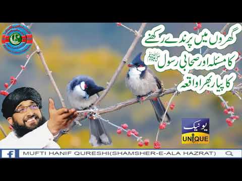 Home Birds (گھروں میں پرندے رکھنا کیسا۔؟) answer by Mufti Hanif Qureshi