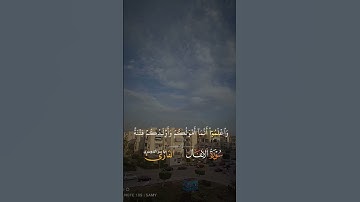 #قران_كريم #قرآن #تلاوة_خاشعة #اكسبلور #ياسر_الدوسري #اذكرو_الله