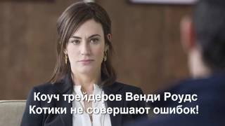 Как коуч работает с трейдером. Котики не ошибаются! Как коуч работает с трейдером. Котики не ошибаются!
