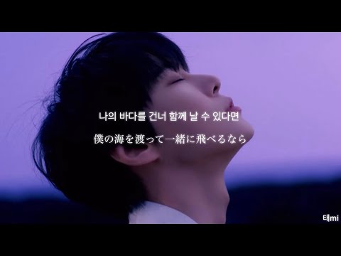 【日本語訳/歌詞】ドヨン(DOYOUNG)-새봄의 노래 (Beginning)