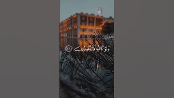 اكتب شيء تؤجر عليه 🤍 #قرآن #تلاوة_خاشعة #القارئ #عبدالرحمن_مسعد