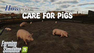 How To | Care For Pigs | Farming Simulator 25