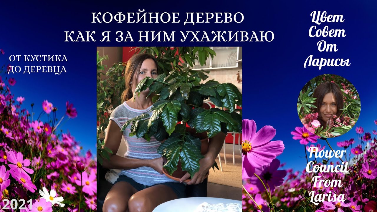 Цветочные советы от елены