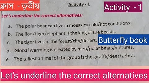 Class-3/Butterfly book/Activity  - 1/Let