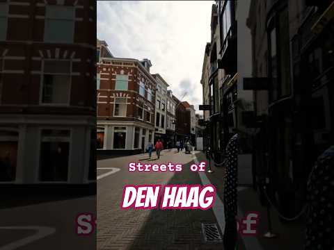 Den Haag L'Aia shorts