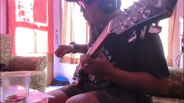 Hatebreed - Put it to the torch ( Guitar Cover )