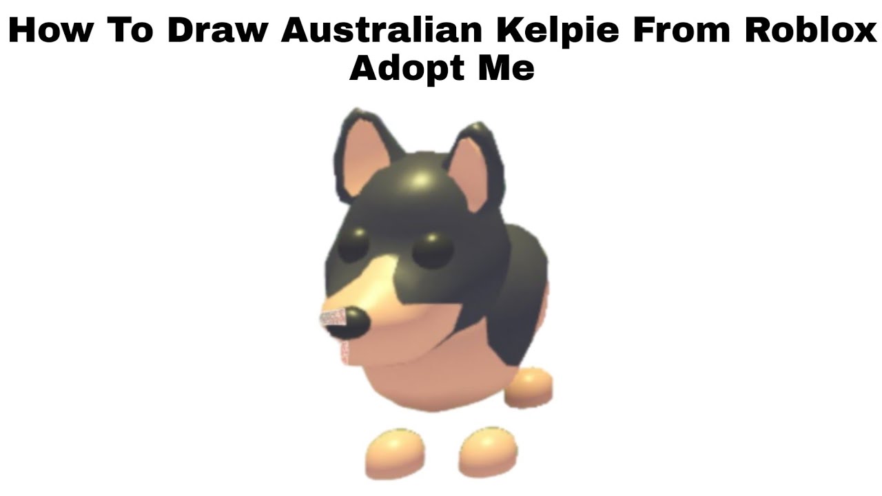 How To Draw Australian Kelpie From Roblox Adopt Me Step By Step Youtube - roblox adopt me kelpie
