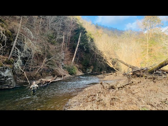 Trout spey Fishing 