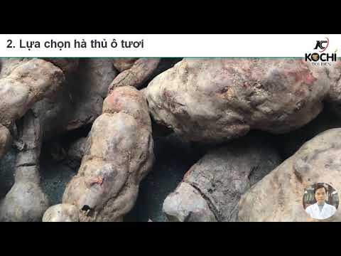 Video Hướng dẫn chi tiết làm hà thủ ô chế (hà thủ ô đỏ chế) - youtube