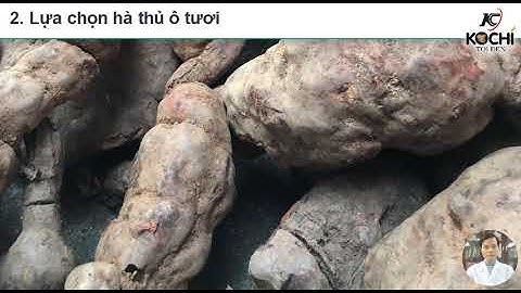 Hướng dẫn chi tiết làm hà thủ ô chế (hà thủ ô đỏ chế)