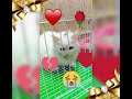 فراق قطتي انو I Love the my cat الوصف مهم