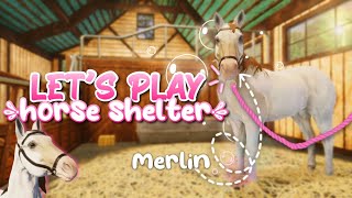 LET’S PLAY: Horse Shelter || Animal Shelter Sim DLC