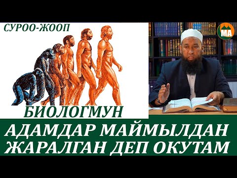 Video: Тирүү заттар эмнеден жаралган?